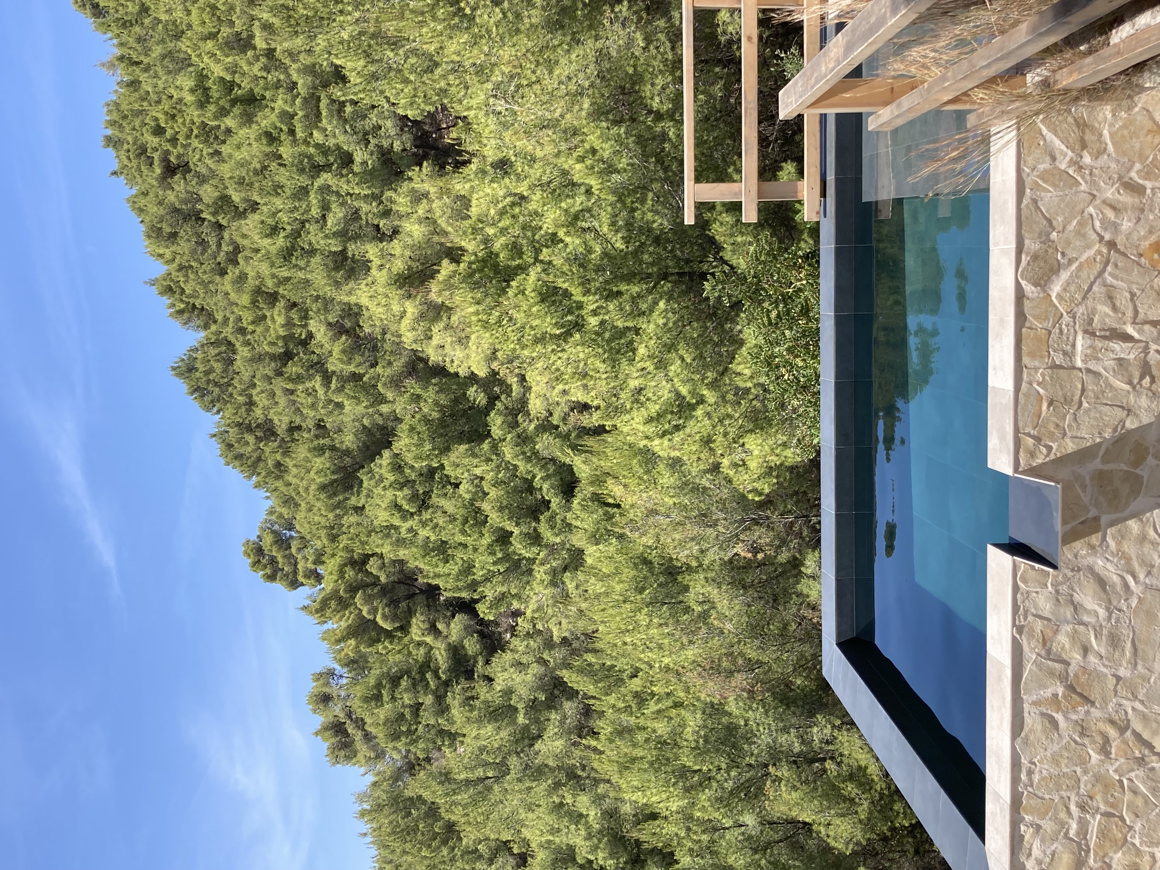 Swimming pool in natural surrounds